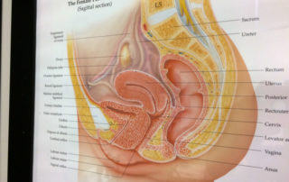 my texas health care obgyn Well Woman Exams 3 Questions You Should Always Ask At The Annual Check Up